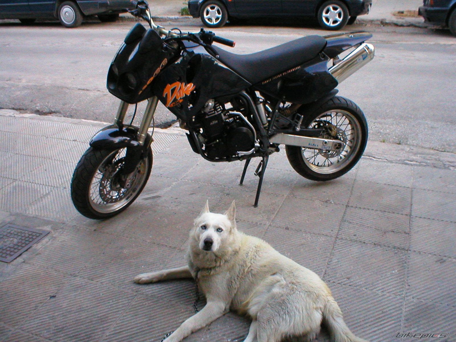 Bike Photo 1426476