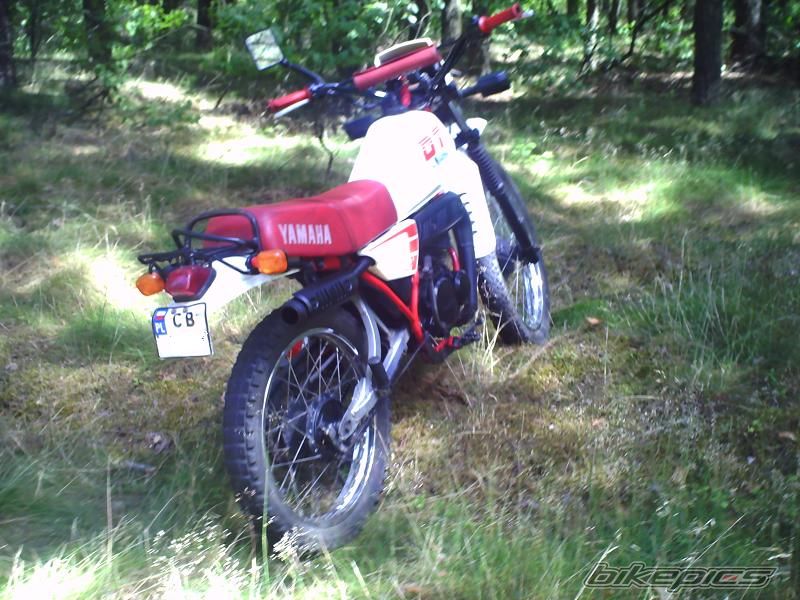 Photo 1426485