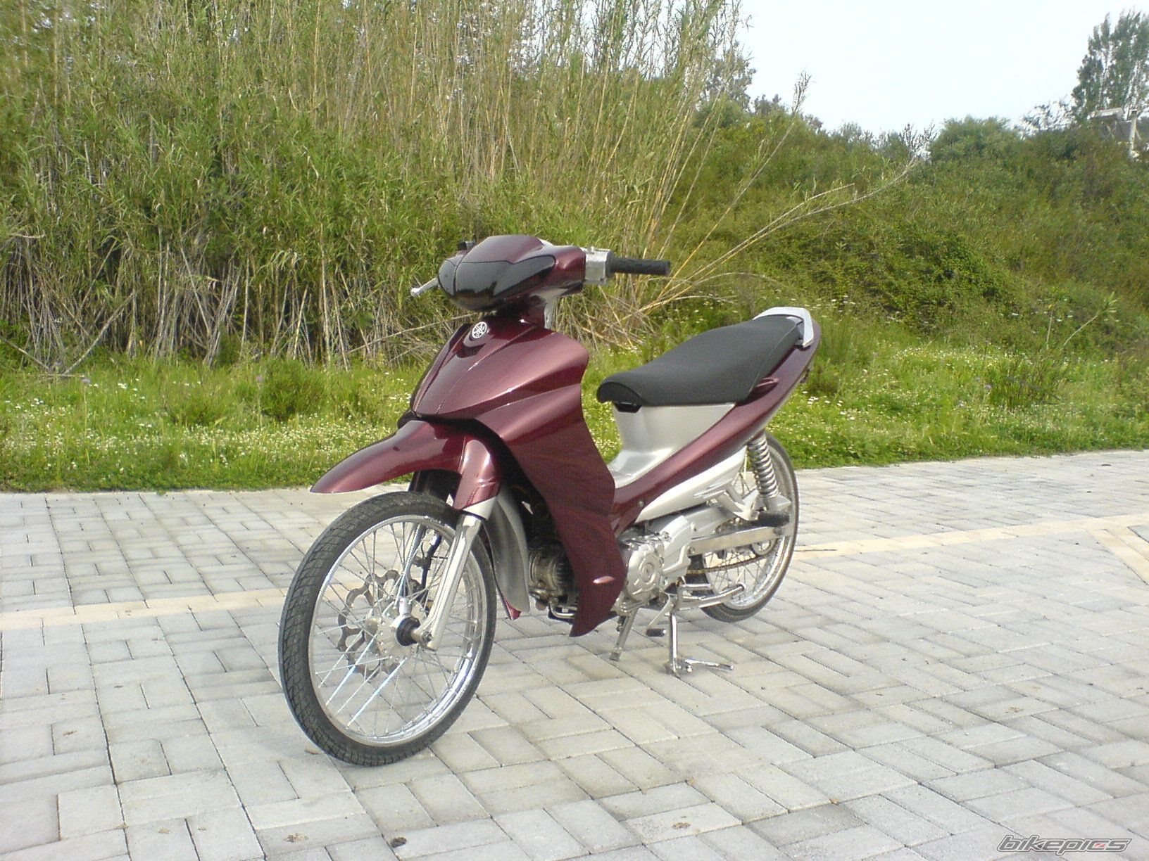 Photo 1426510
