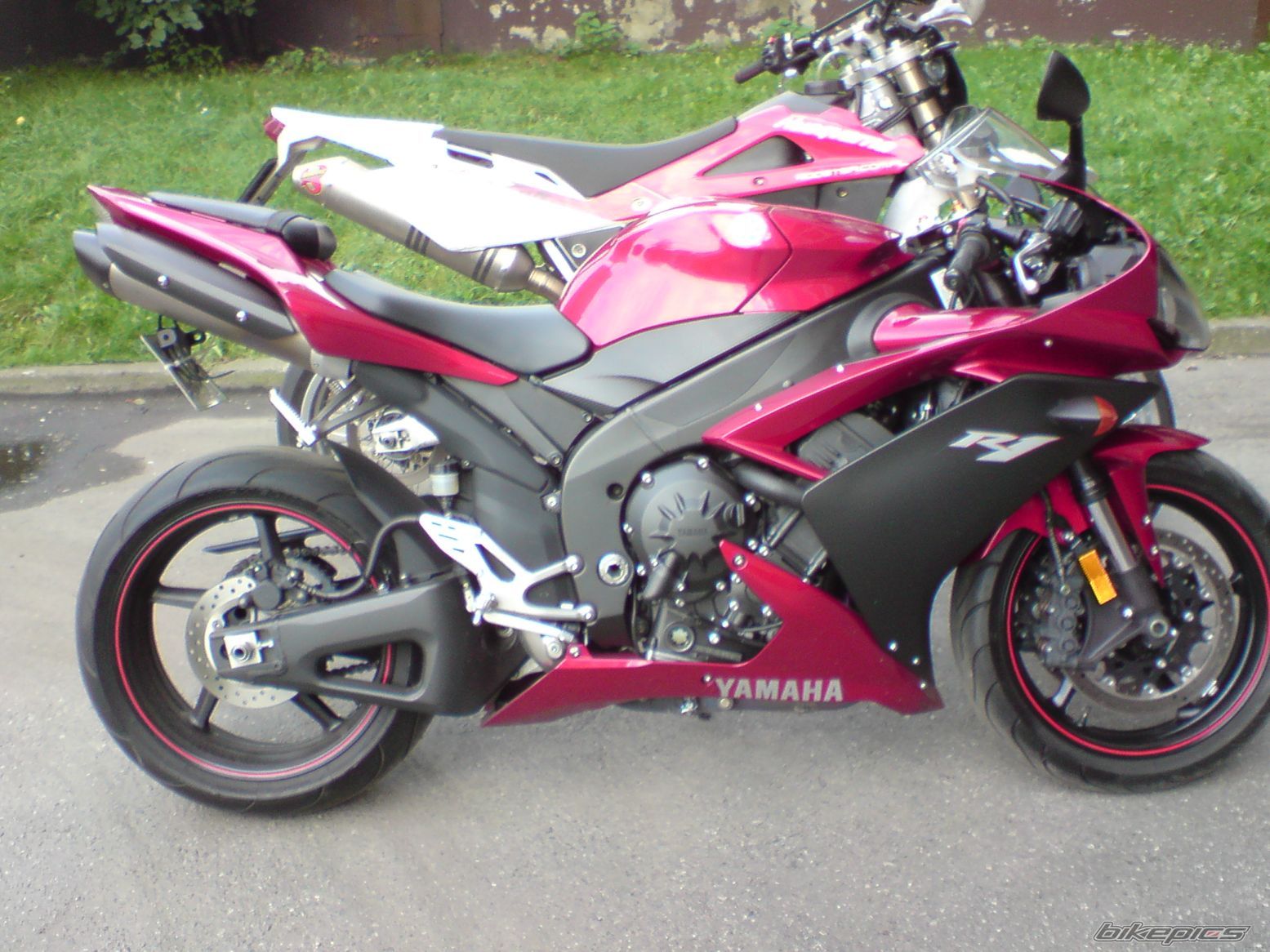 Photo 1426533