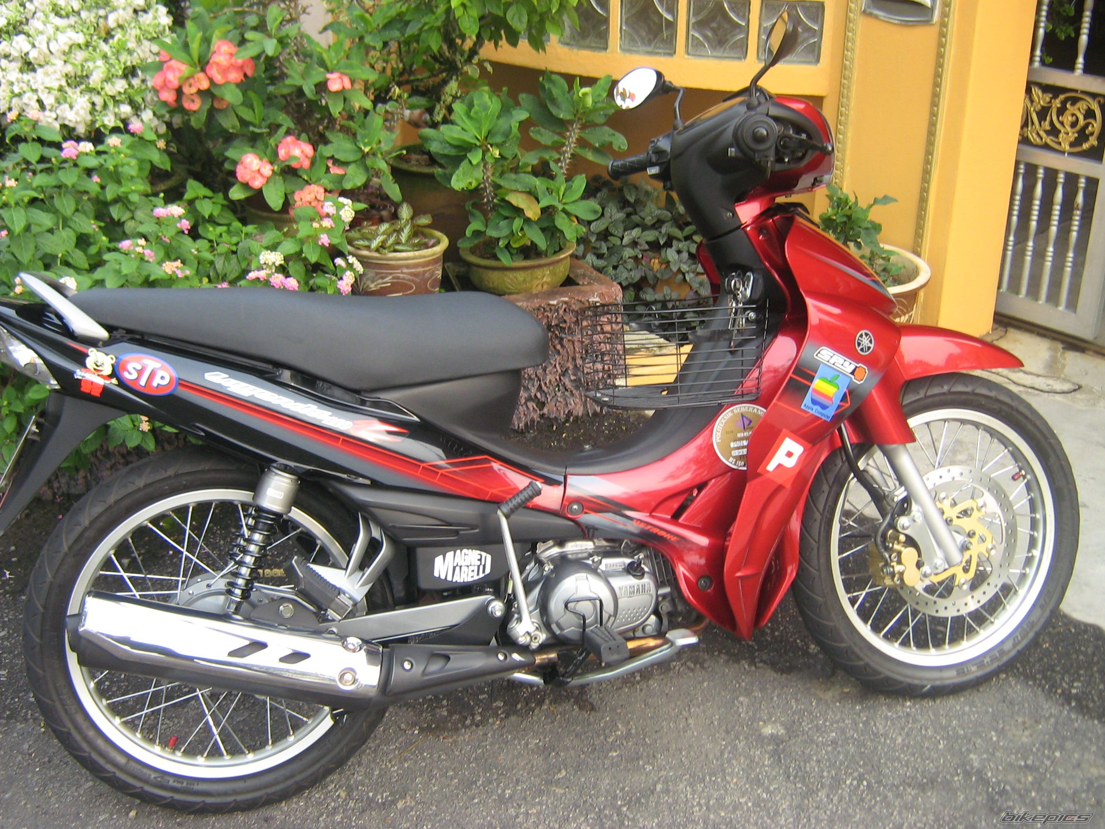 Photo 1426823