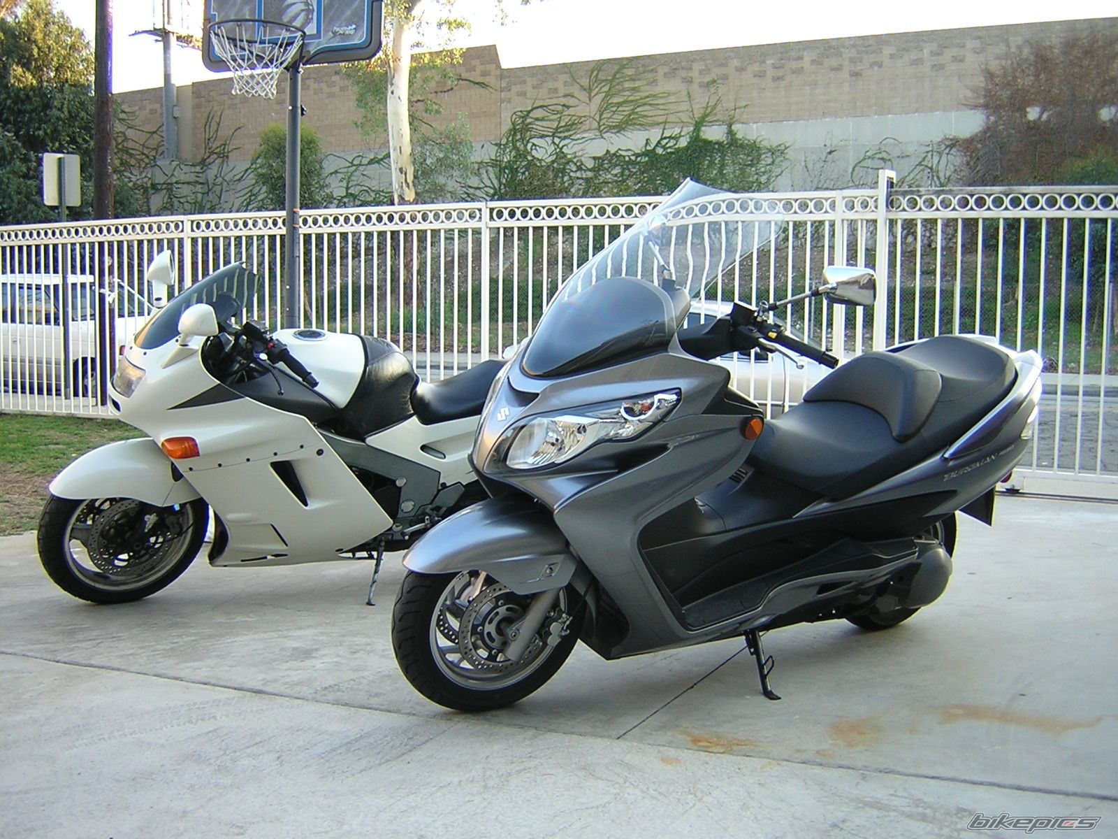 Photo 1426833