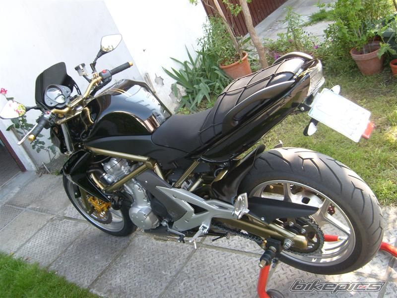 Photo 1426902
