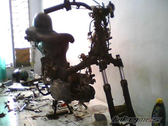 Photo 1426962