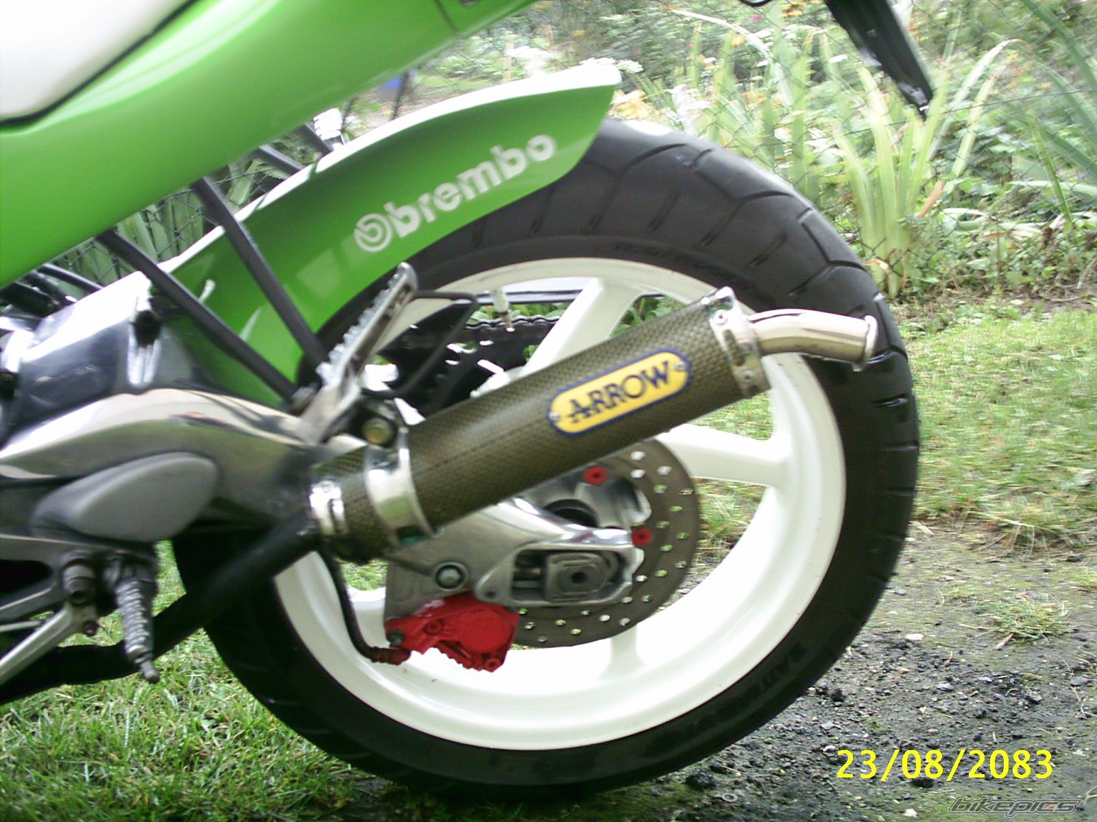 Photo 1426965