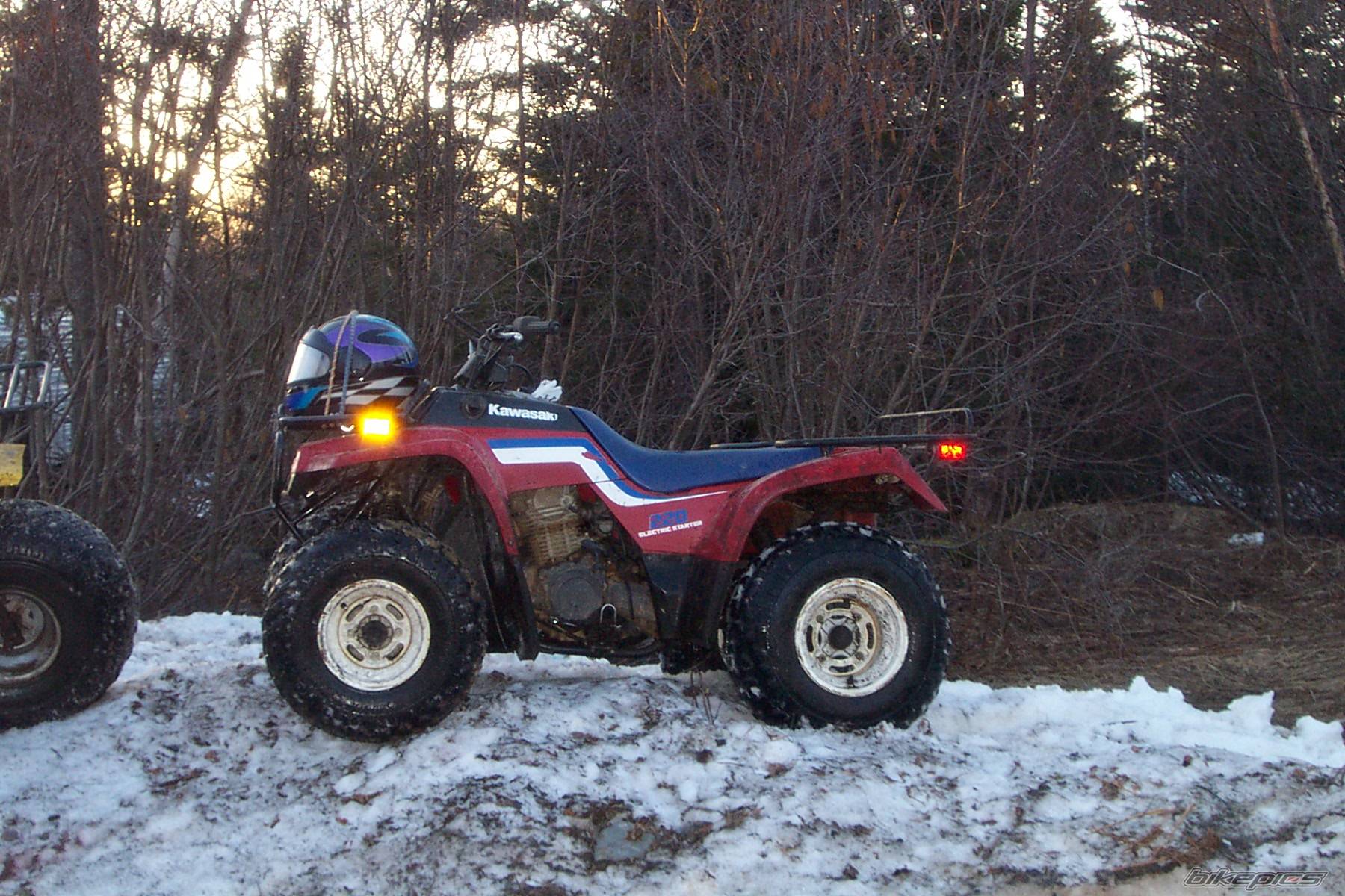 Photo 142699
