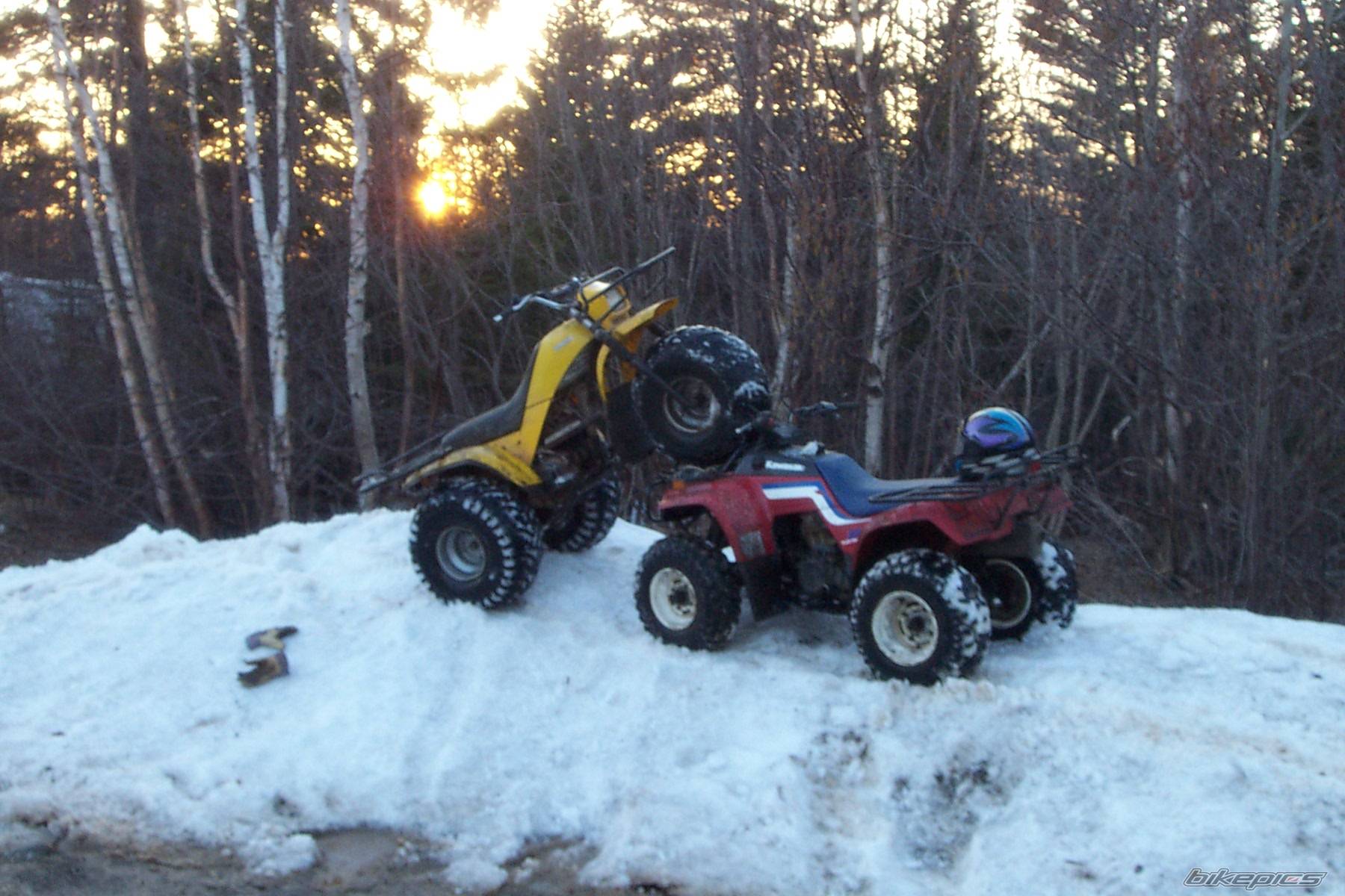 Photo 142701