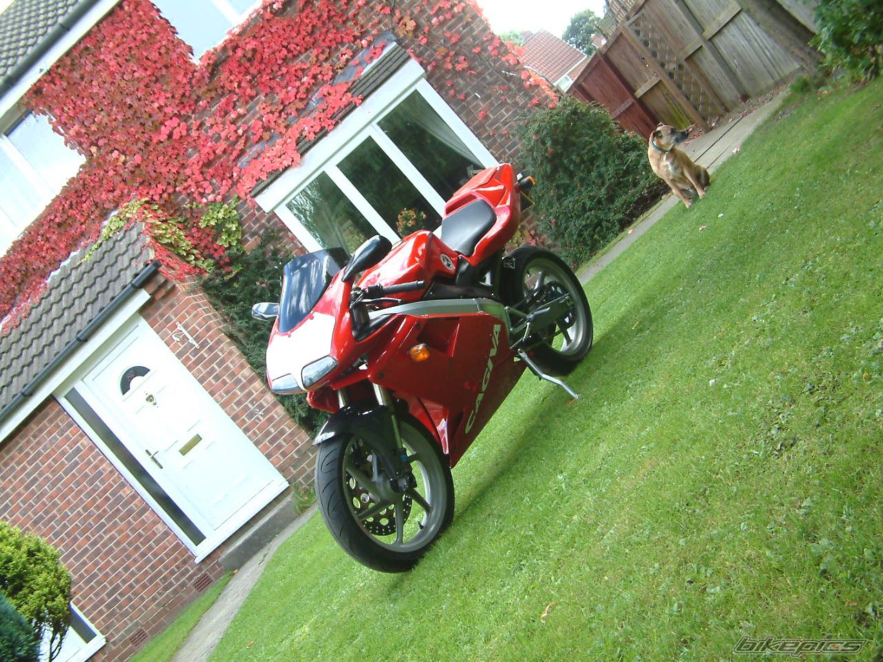 Bike Photo 1427016