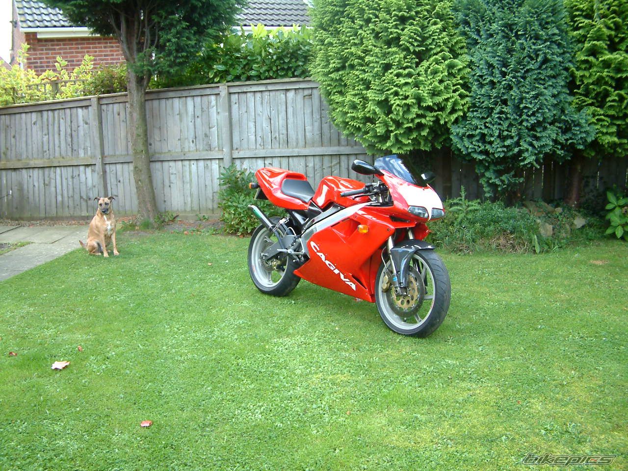Bike Photo 1427018