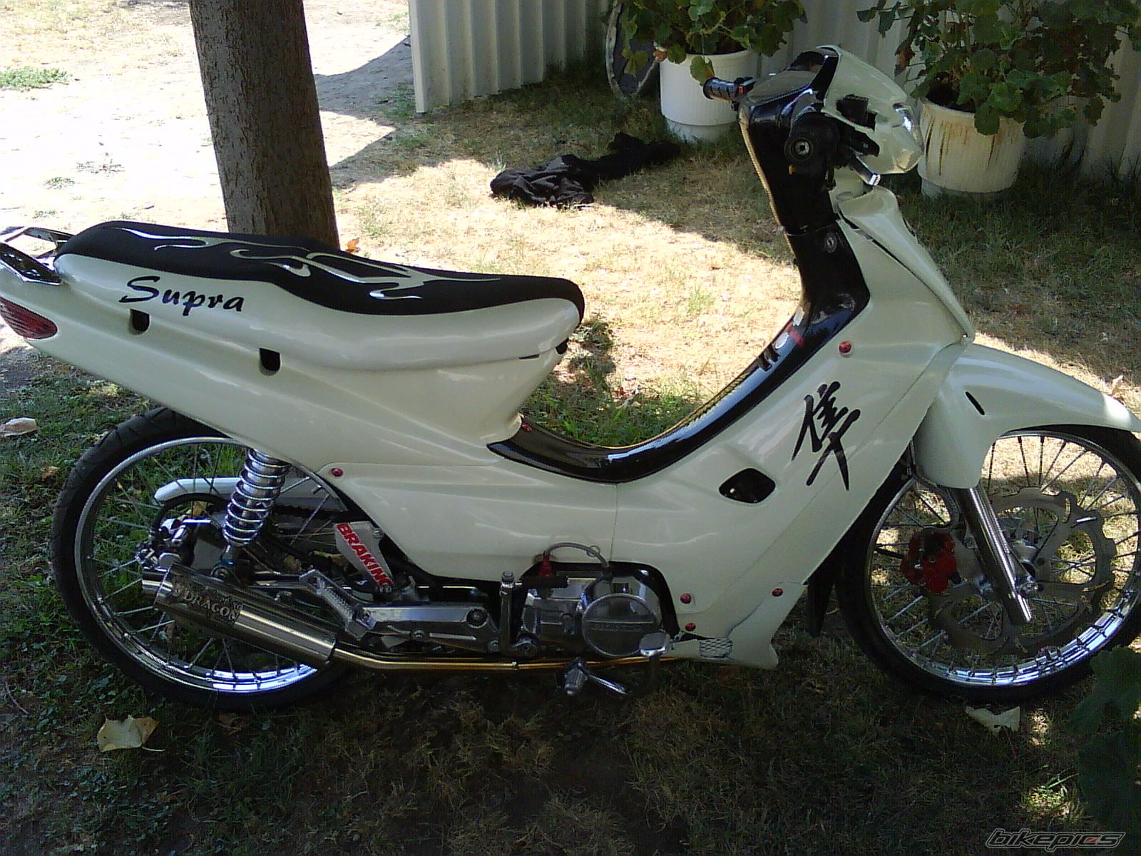 Photo 1427044