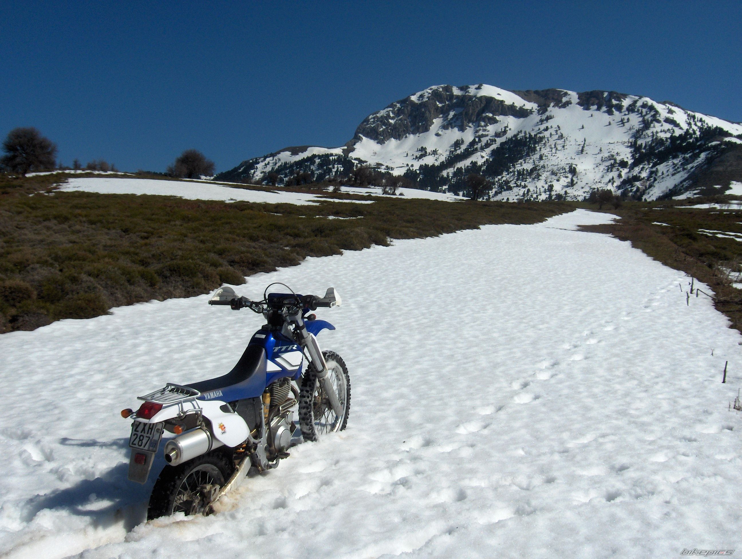 Bike Photo 1427057
