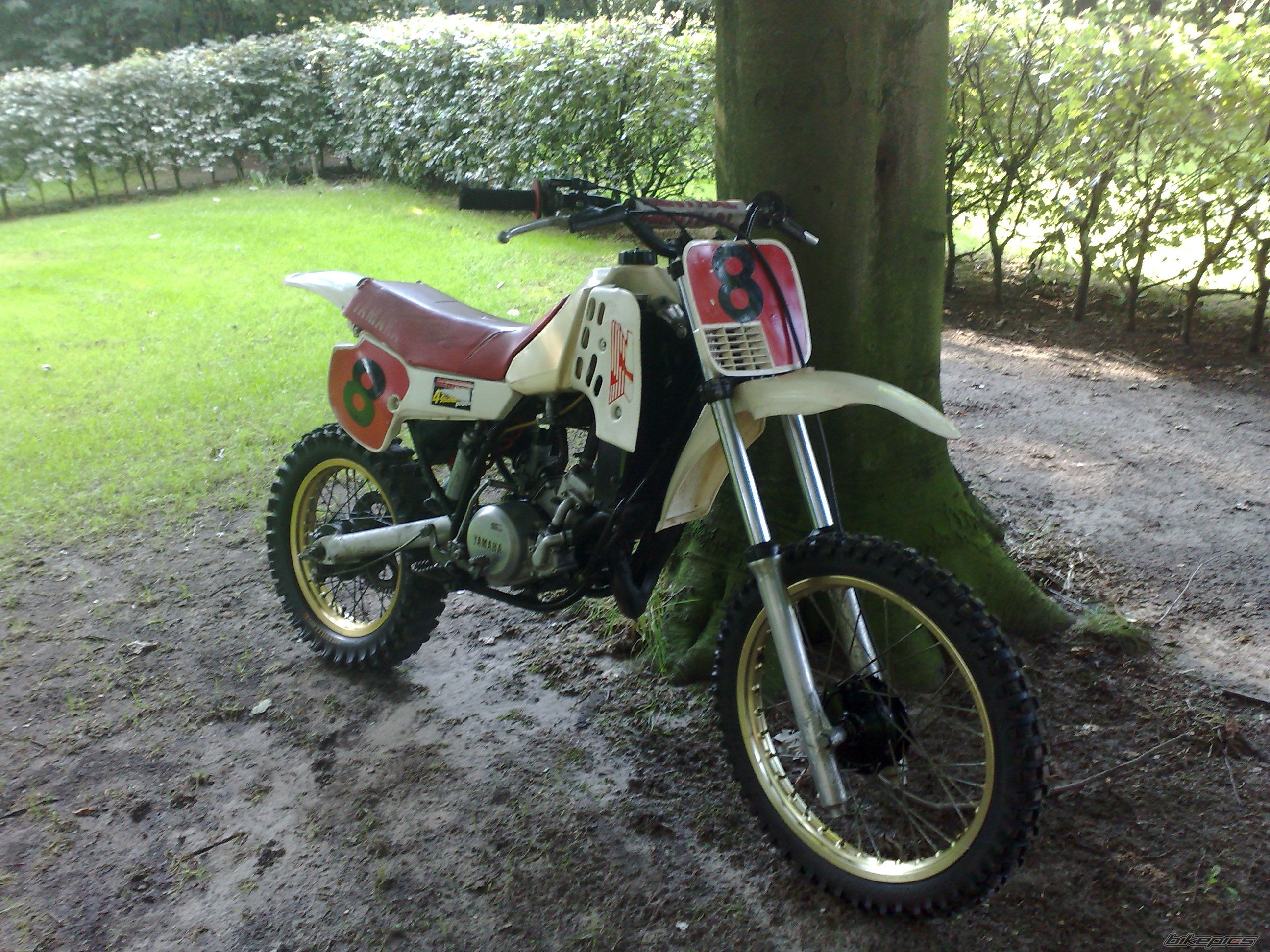 Photo 1427094