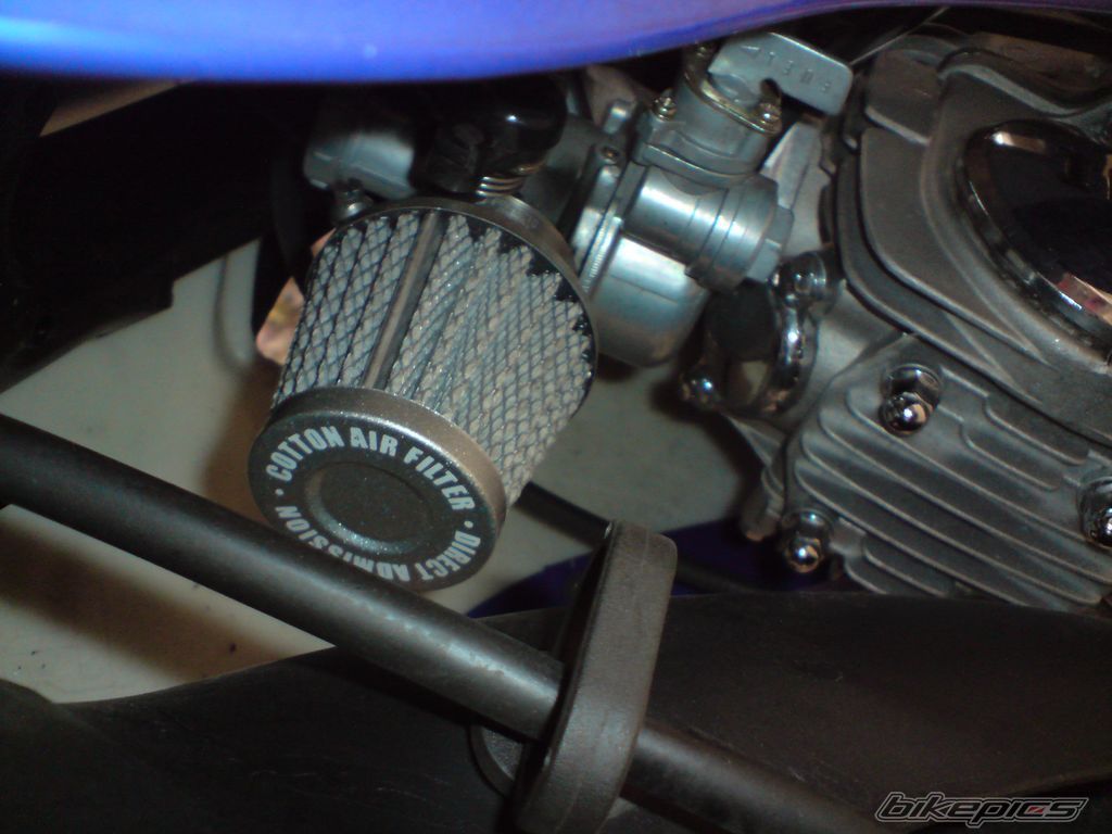 Photo 1427125