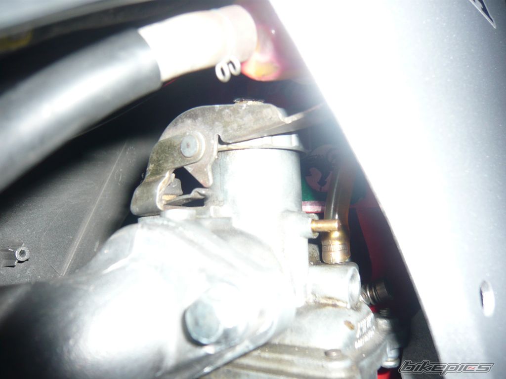 Photo 1427222