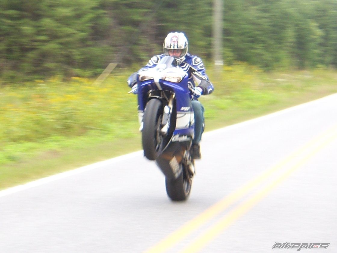 Photo 1427230