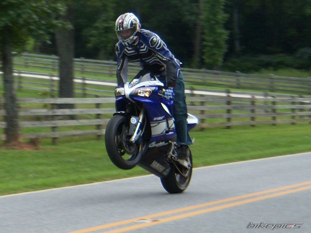 Photo 1427232
