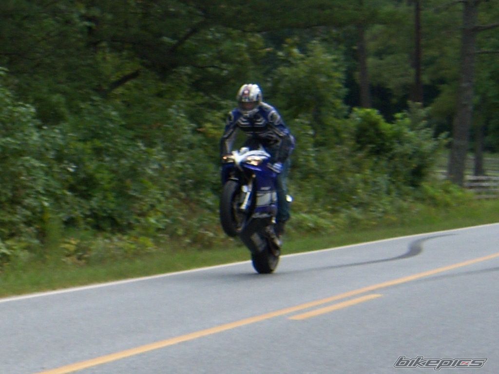 Photo 1427236
