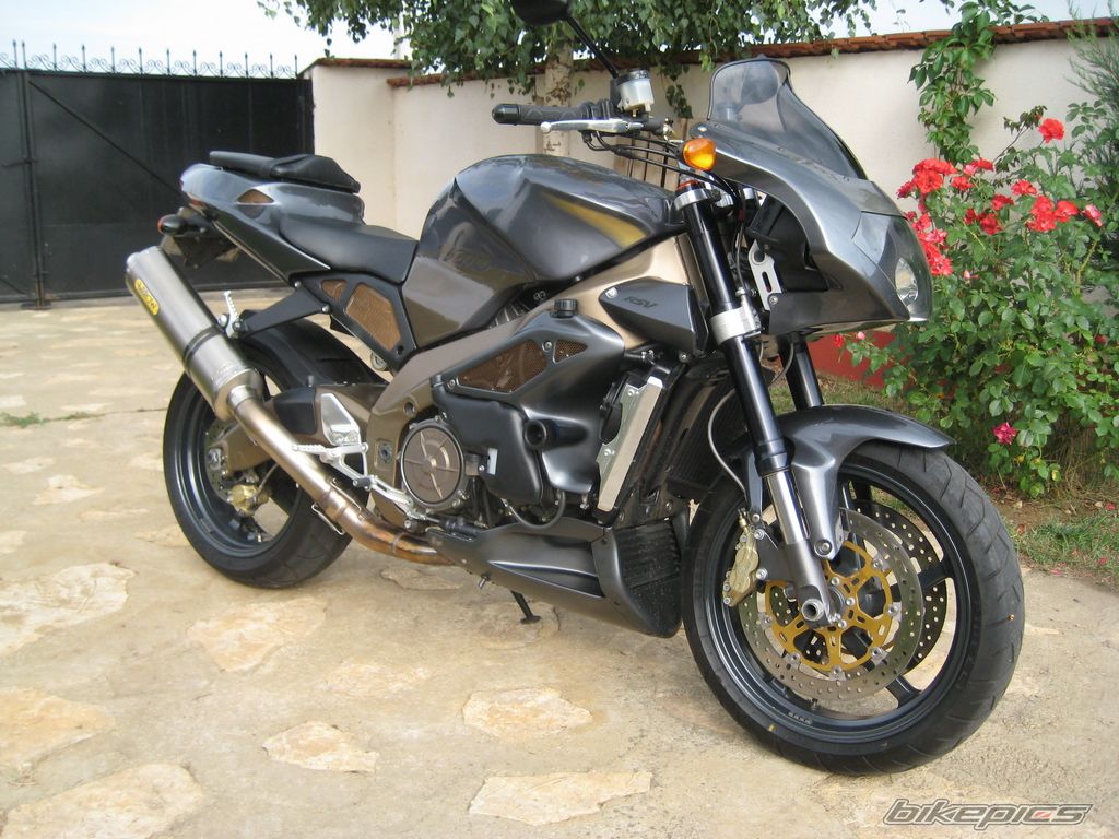 Photo 1427242