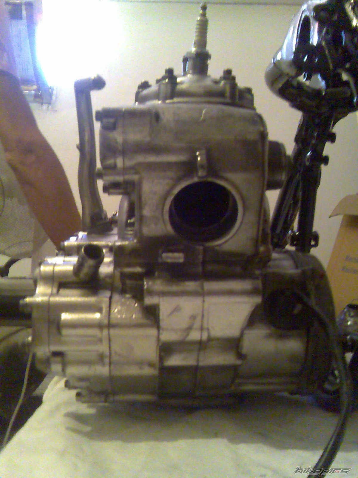 Photo 1427288