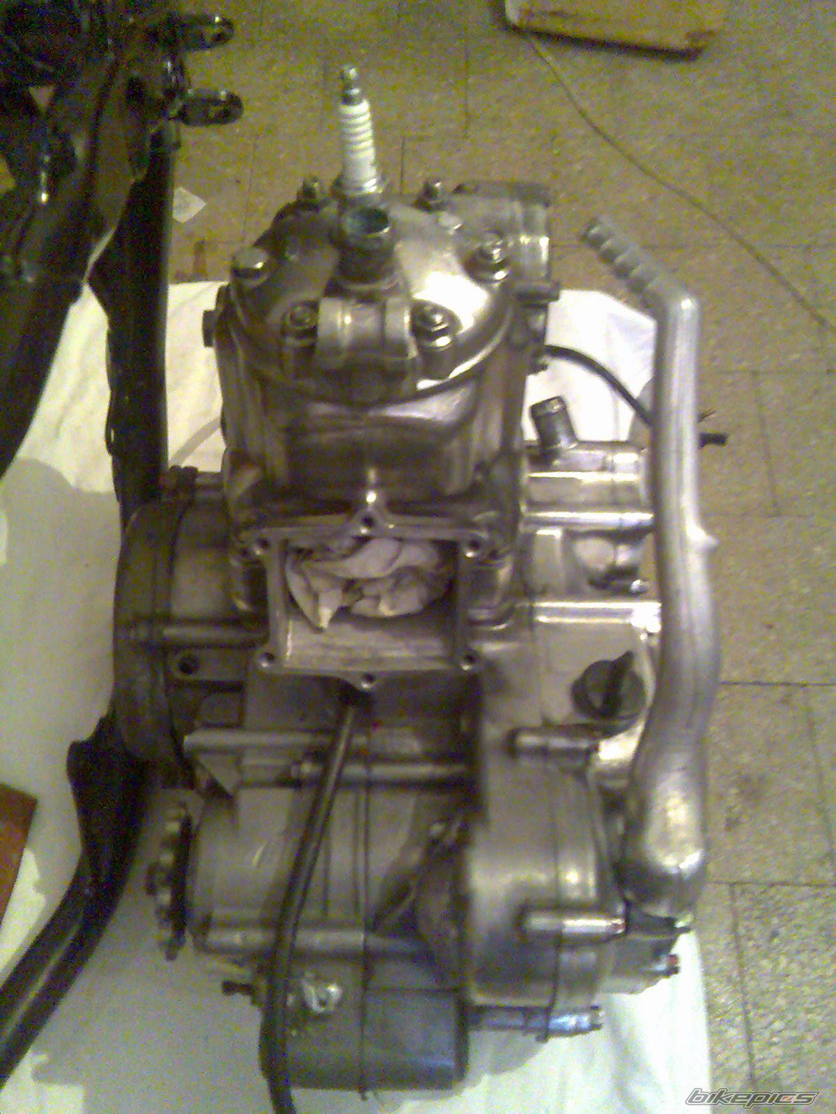 Photo 1427289