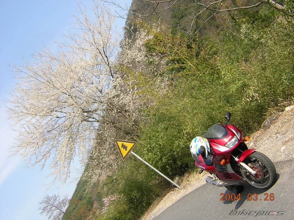 Bike Photo 142730