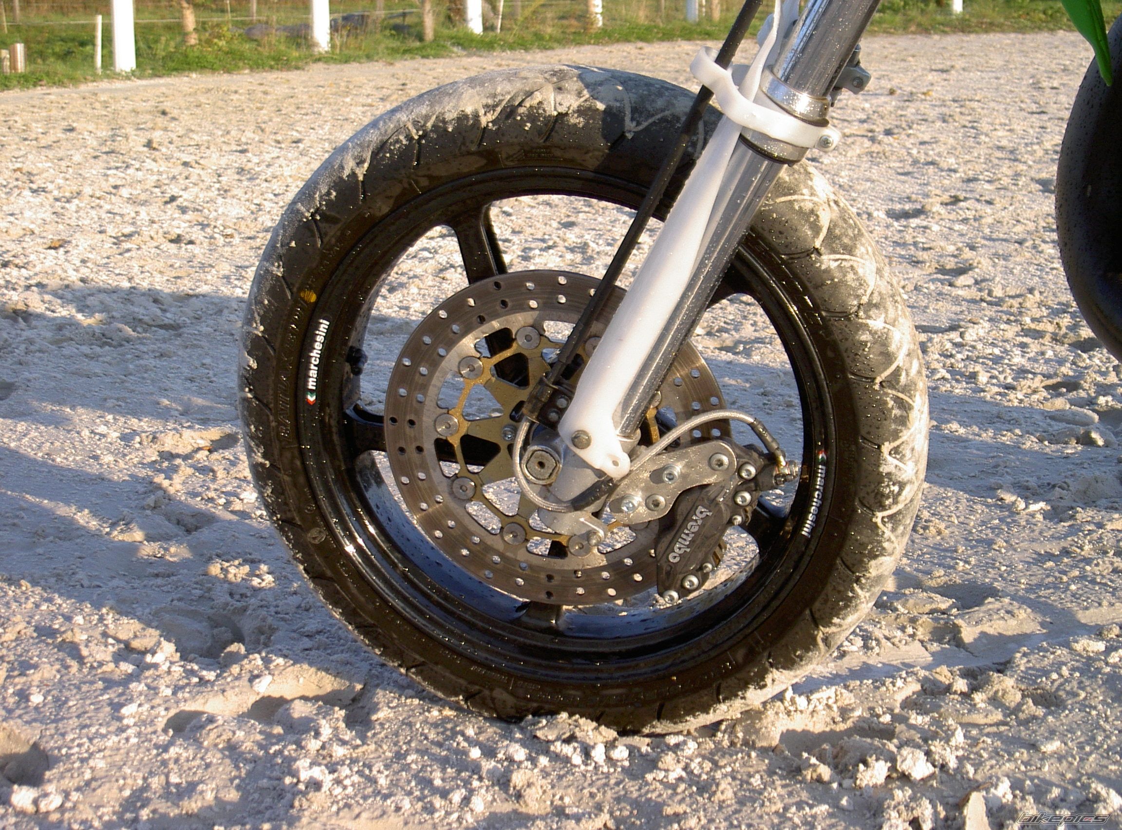 Photo 1427382