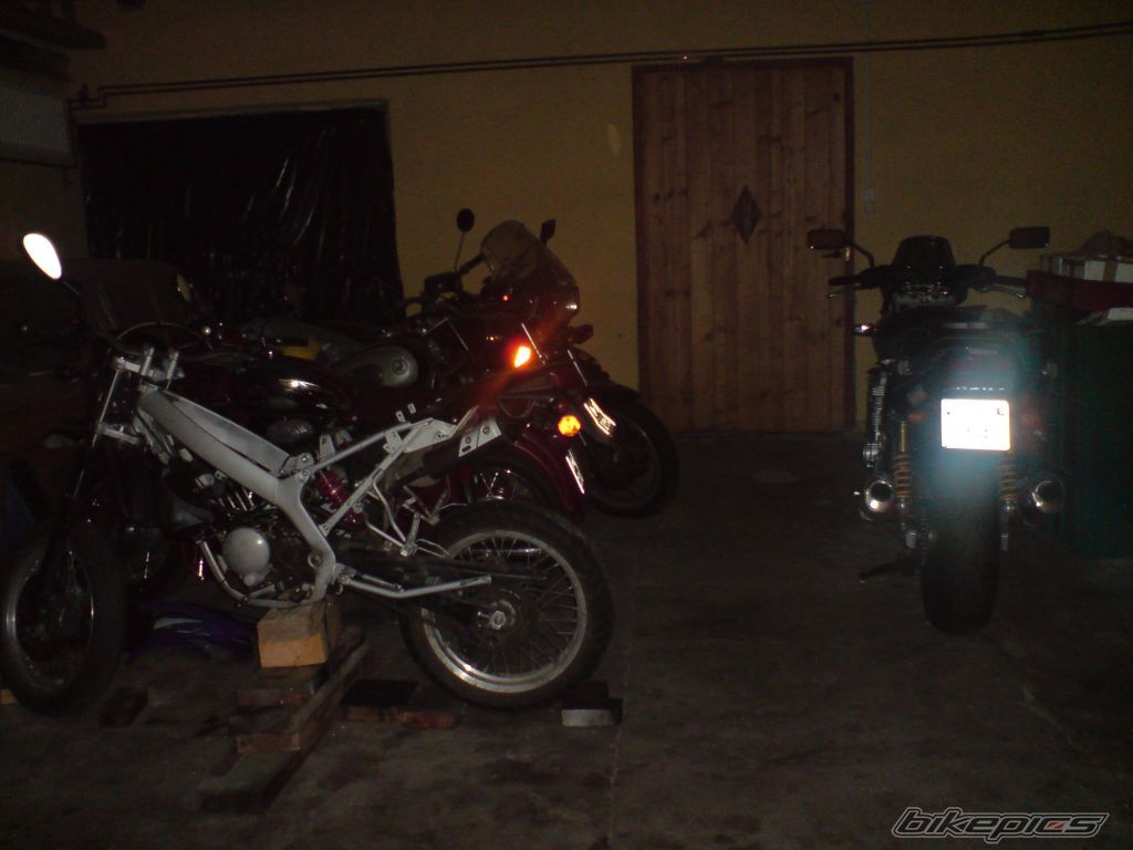 Photo 1427391