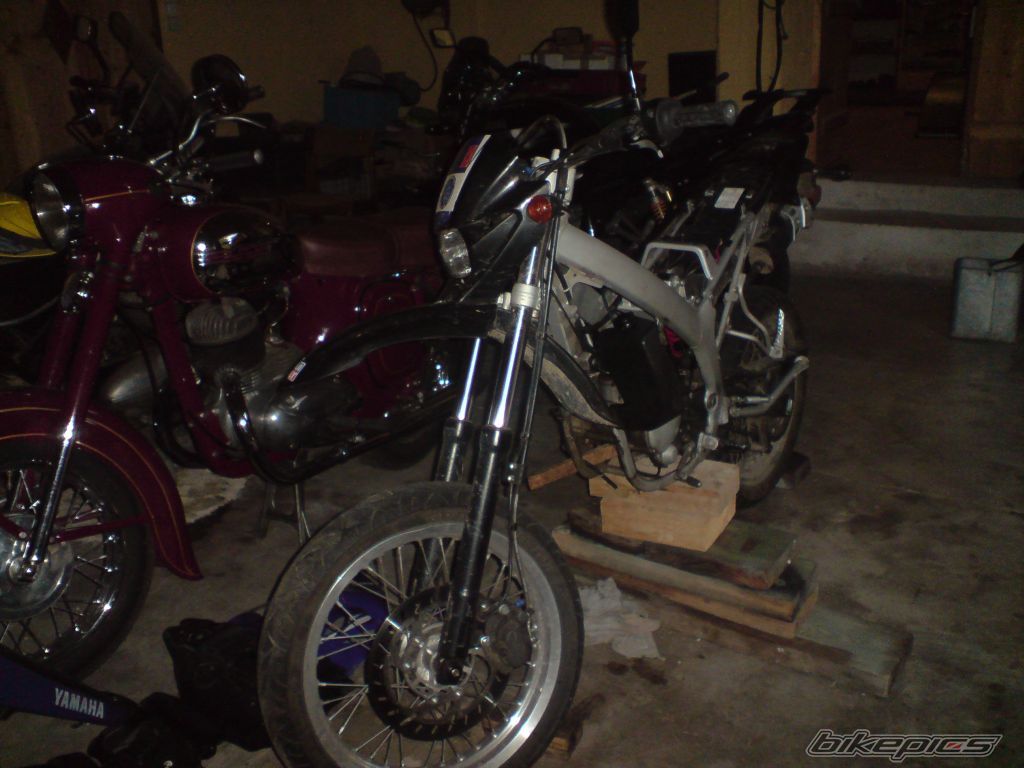 Photo 1427392