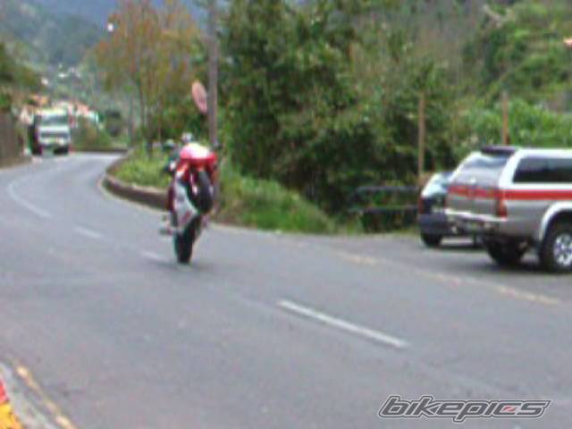 Photo 142742