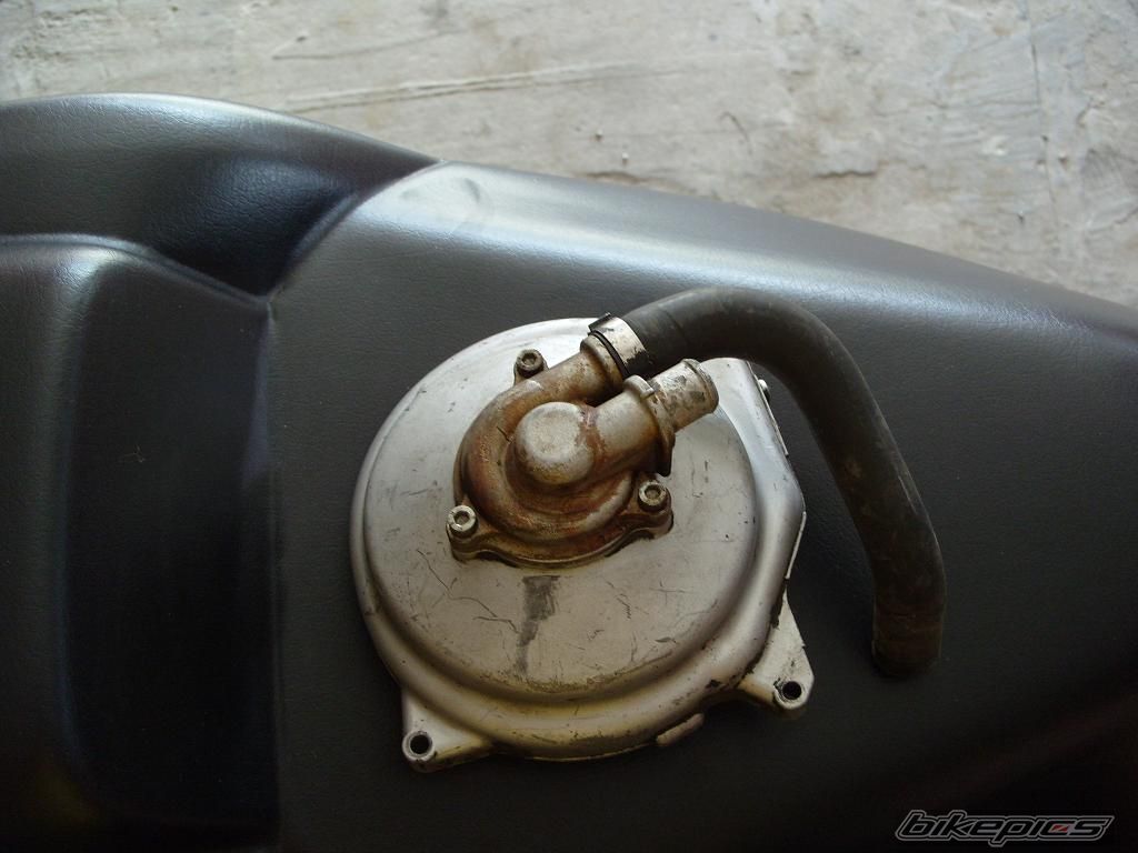 Photo 1427423