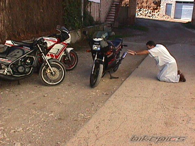 Photo 14275