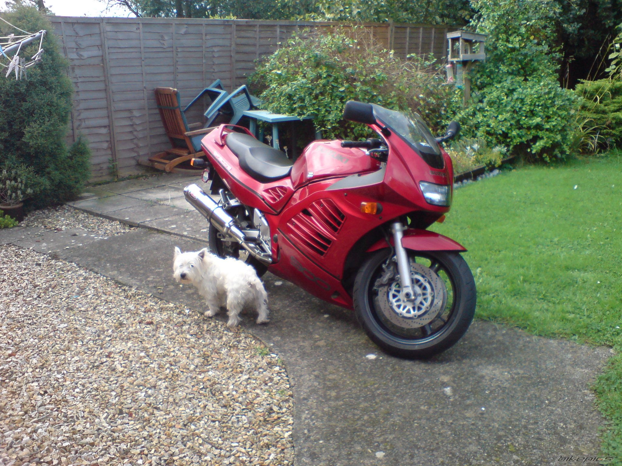 Photo 1427508