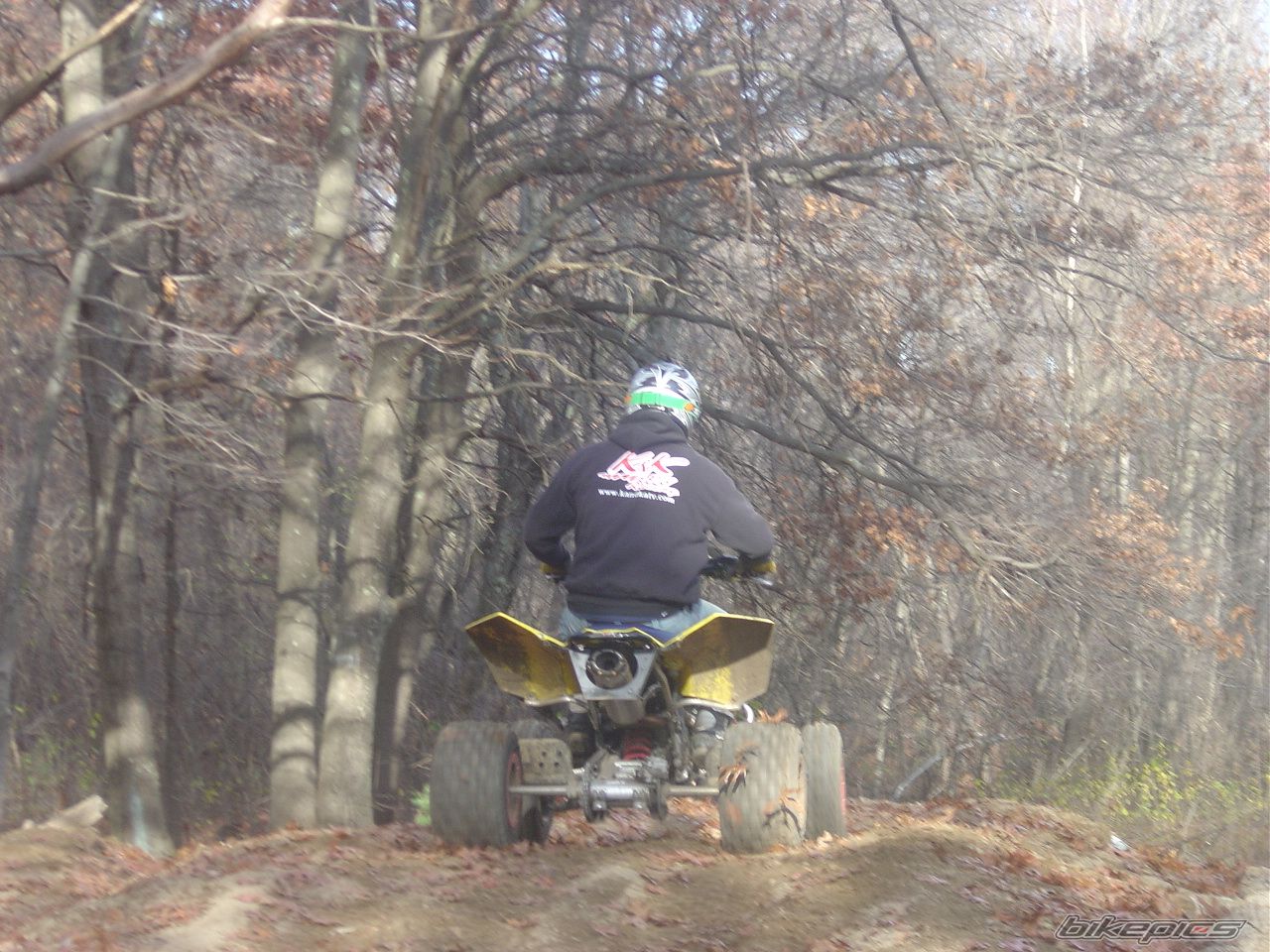 Photo 1427560