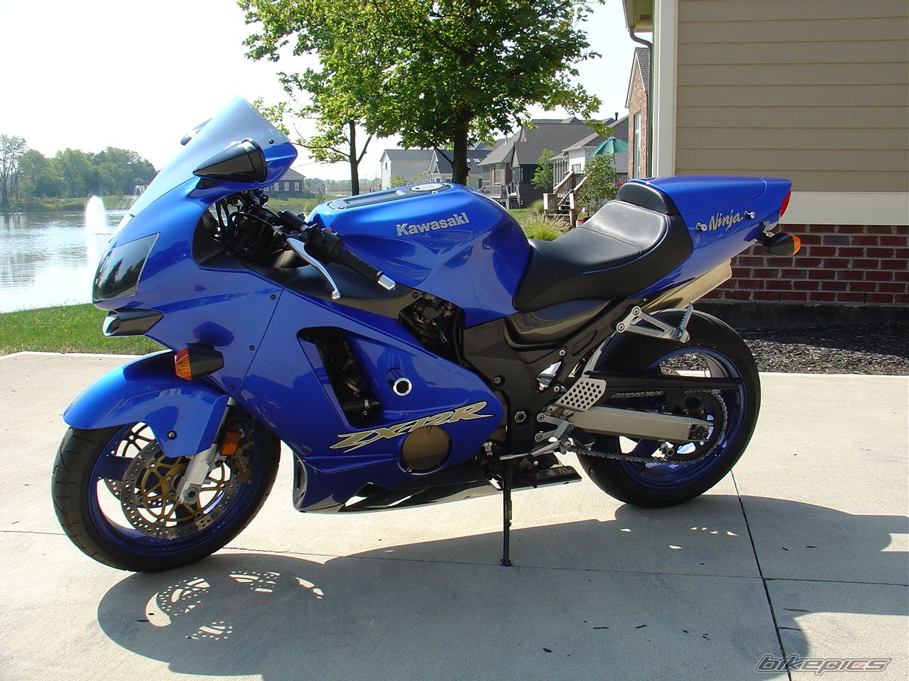 Photo 1427568