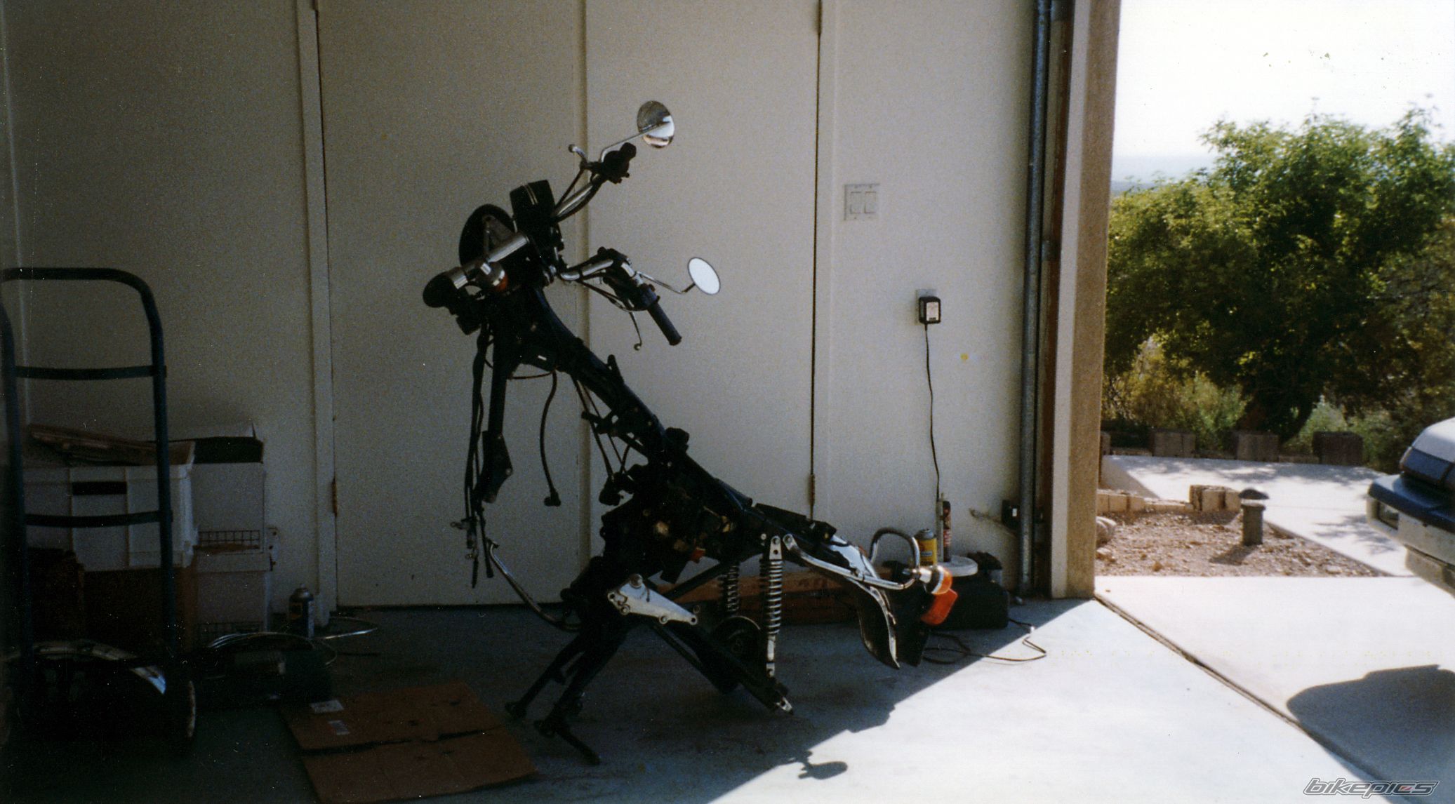 Photo 1427643
