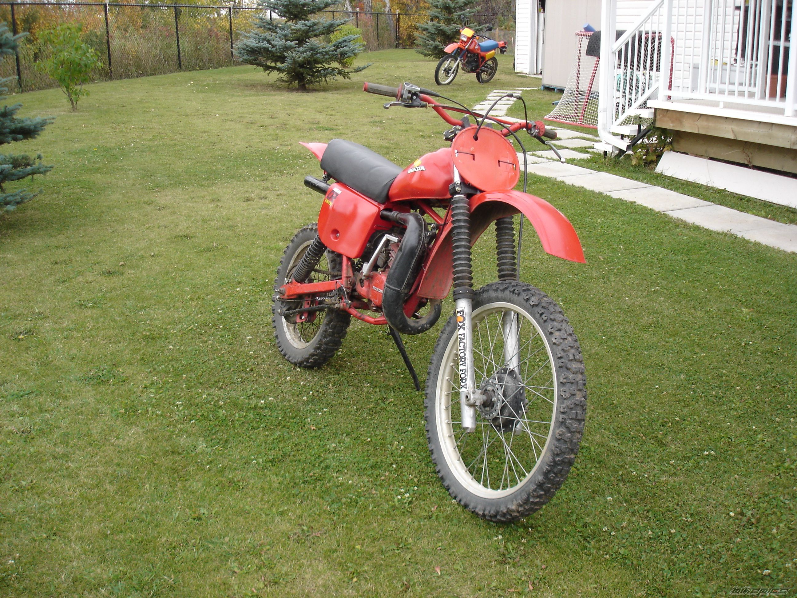 Photo 1427652