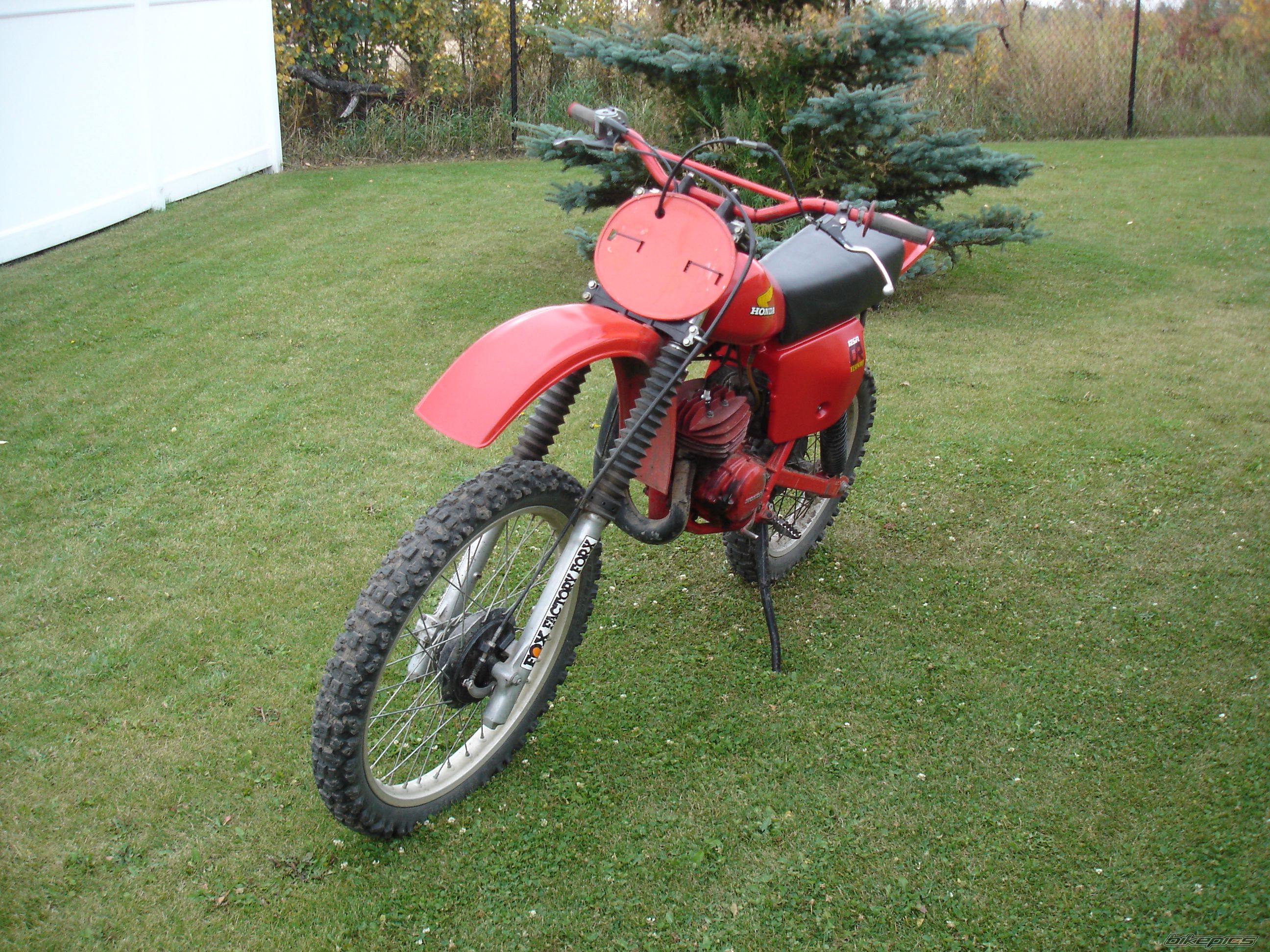 Photo 1427660