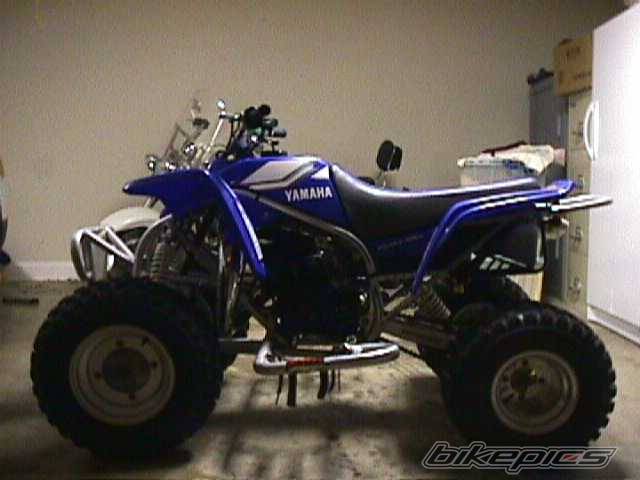 Photo 142767