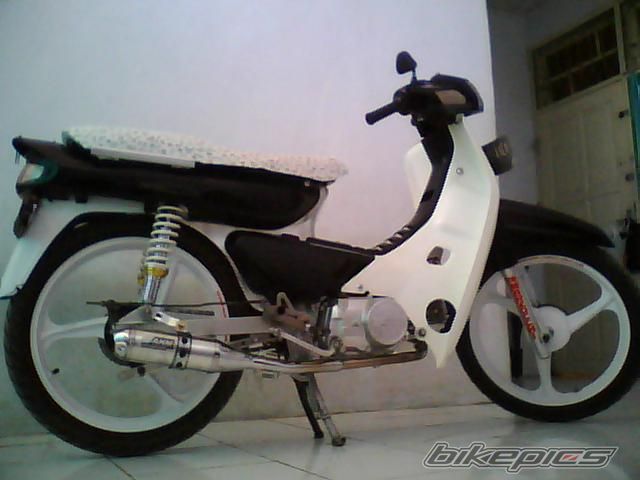 Photo 1427821
