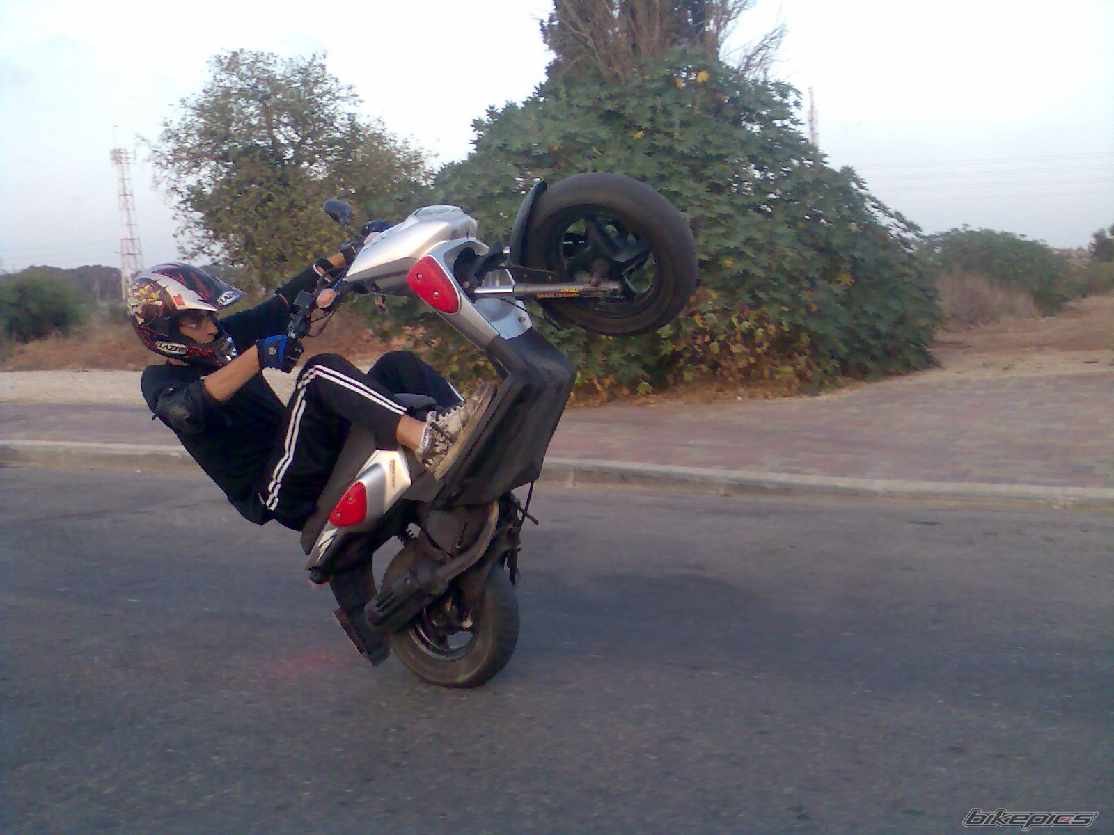 Photo 1427822