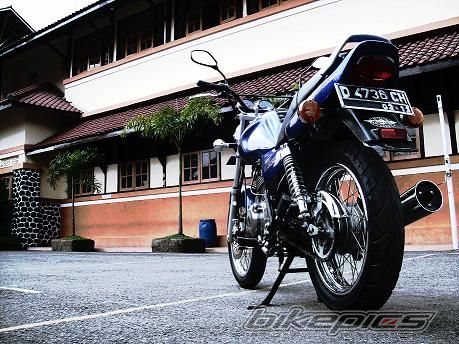 Photo 1427825