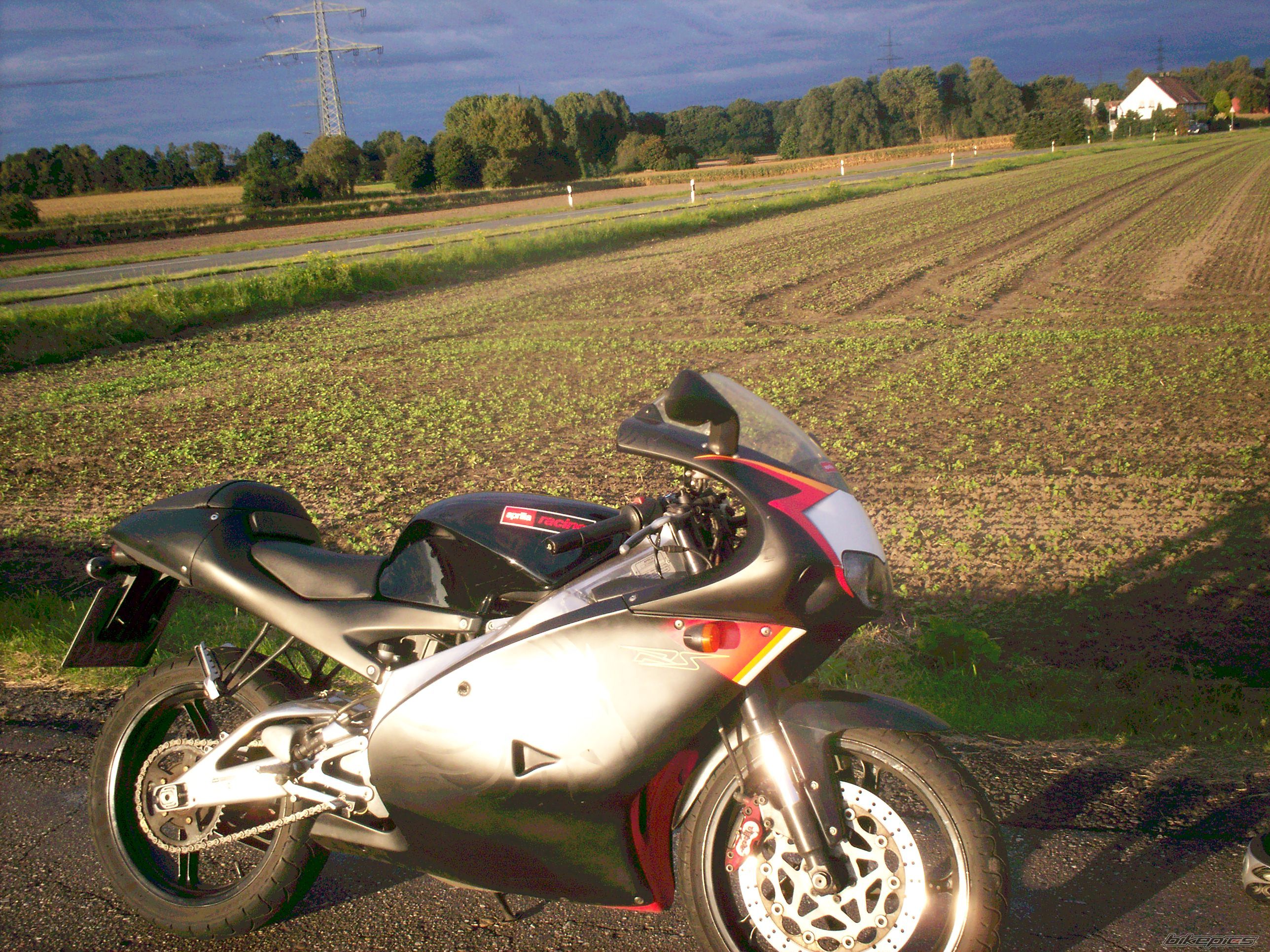 Photo 1427897