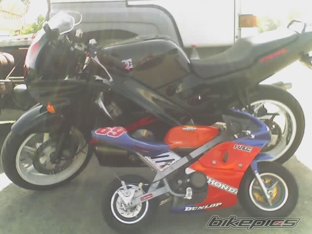 Photo 1427929