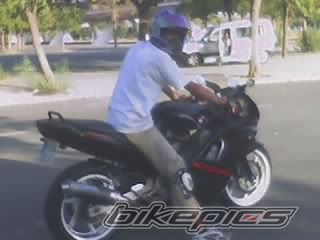 Photo 1427932