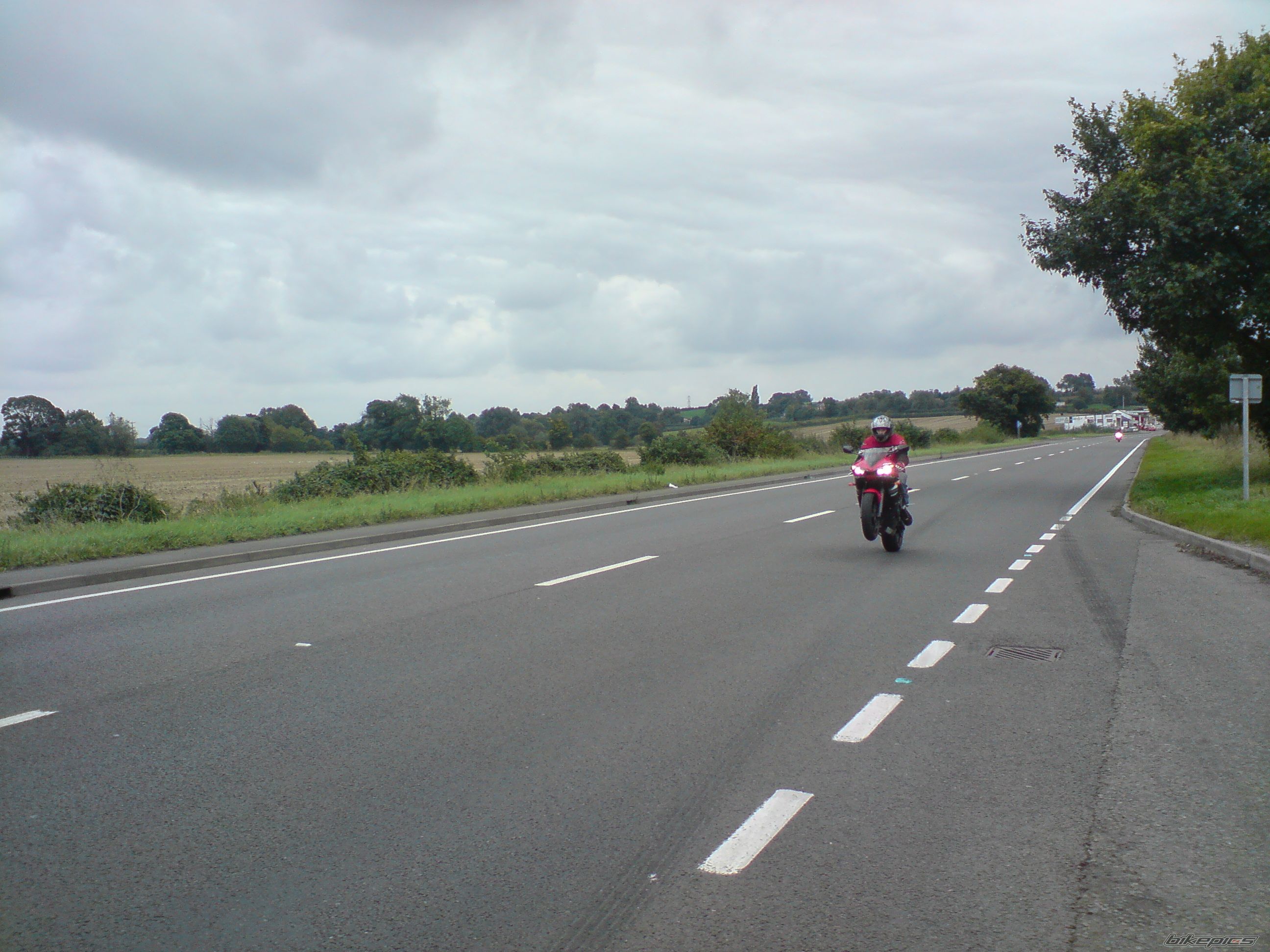 Photo 1427972