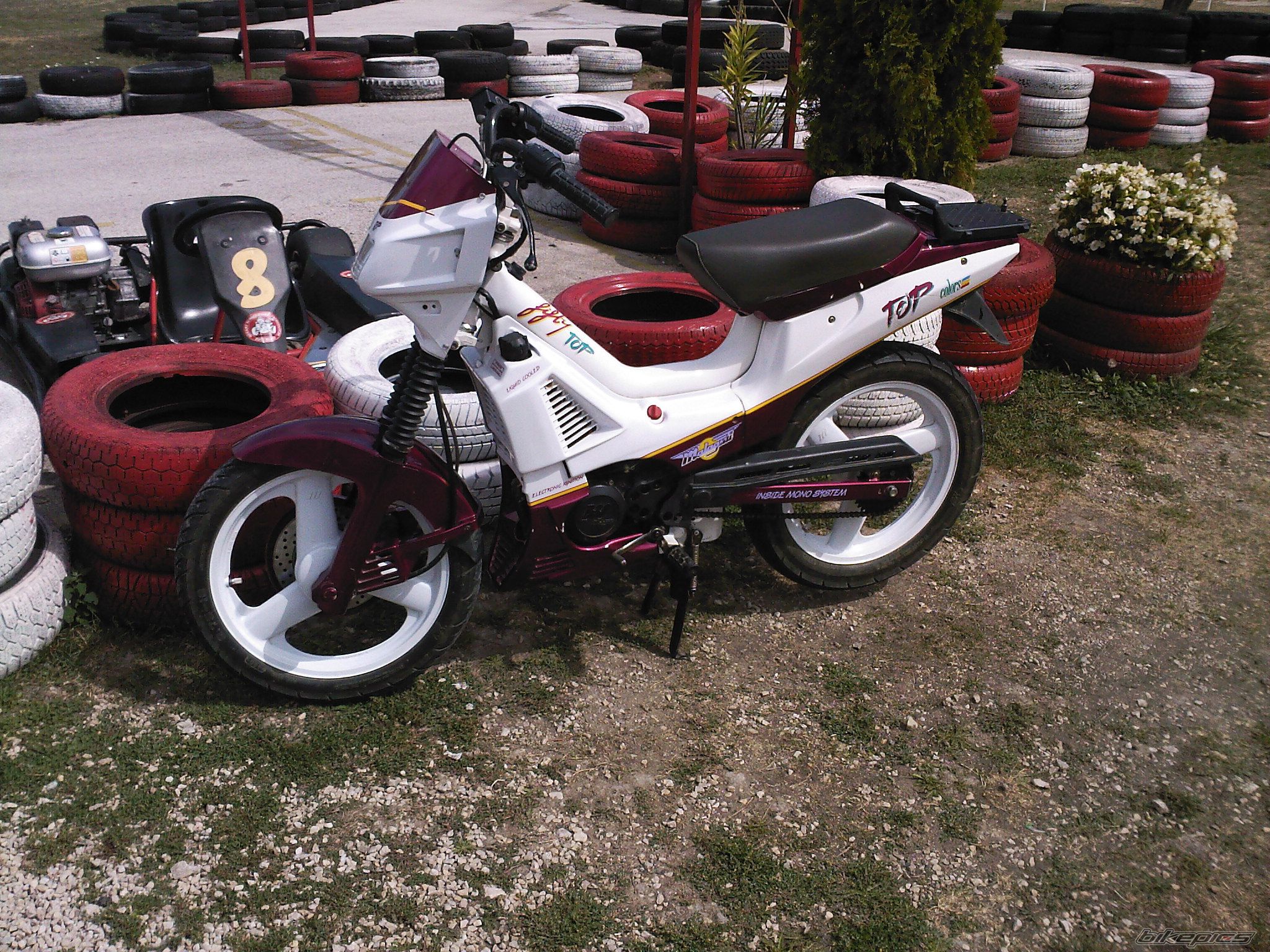 Photo 1427999