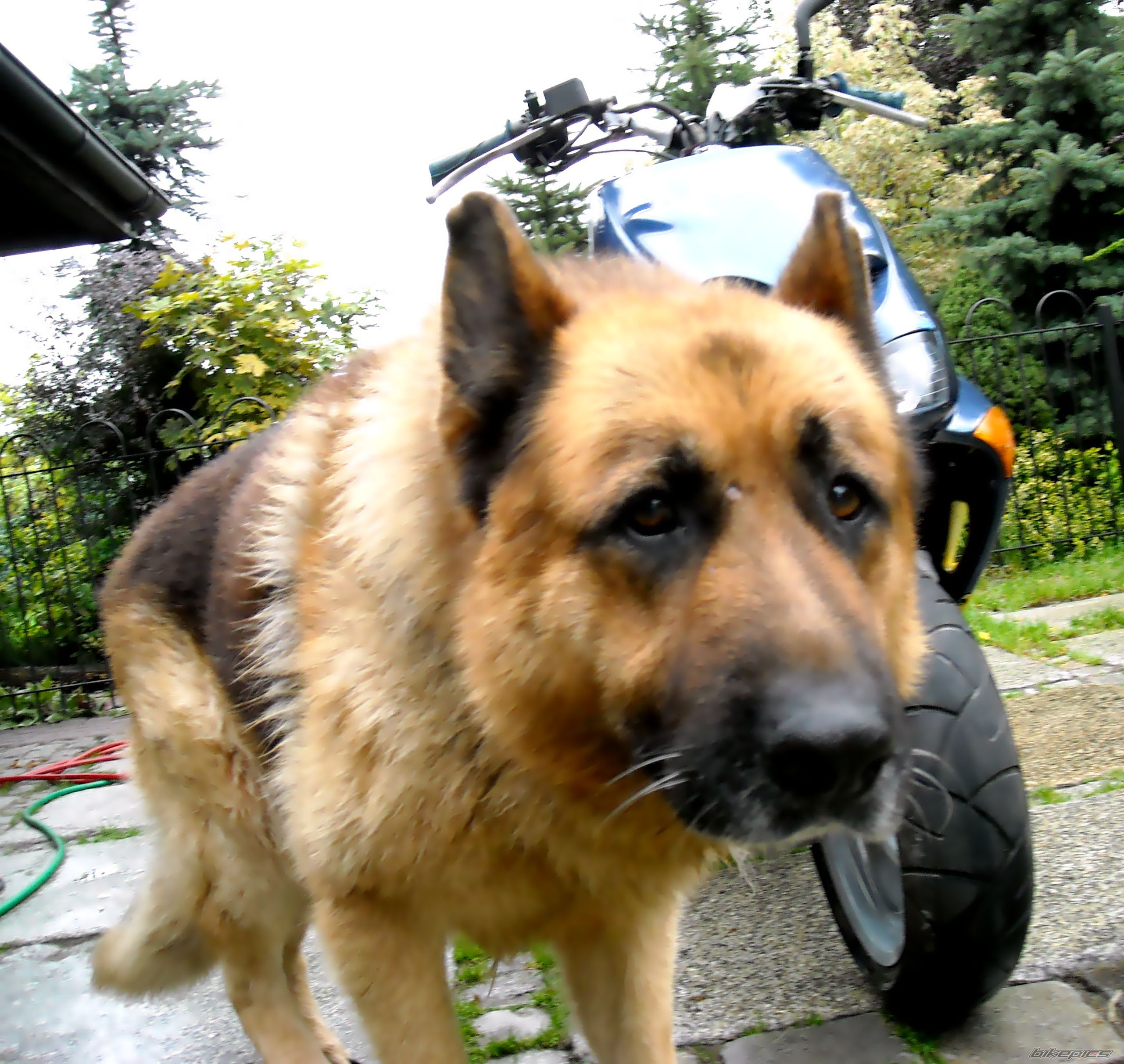 Photo 1428094