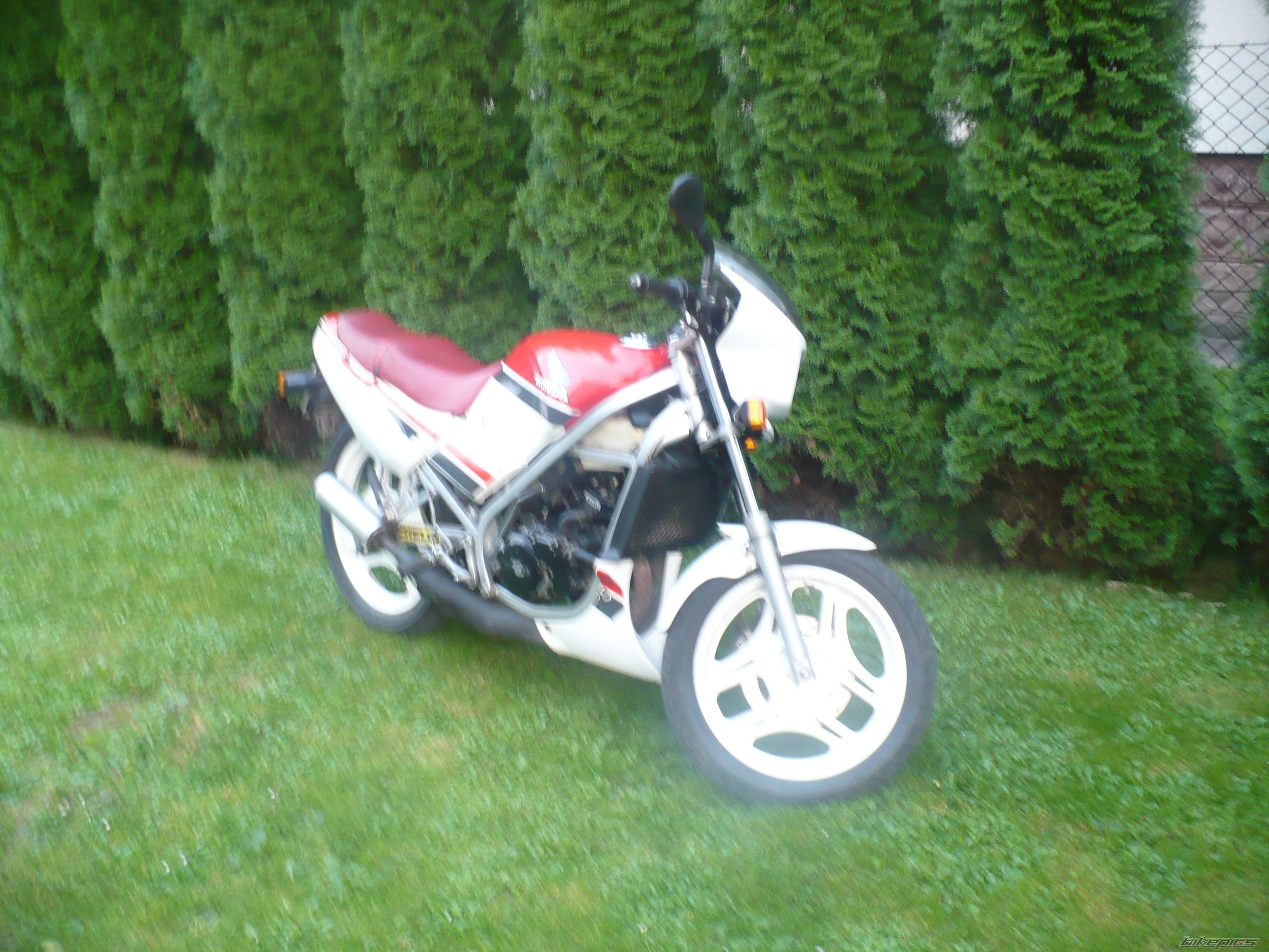 Bike Photo 1428134