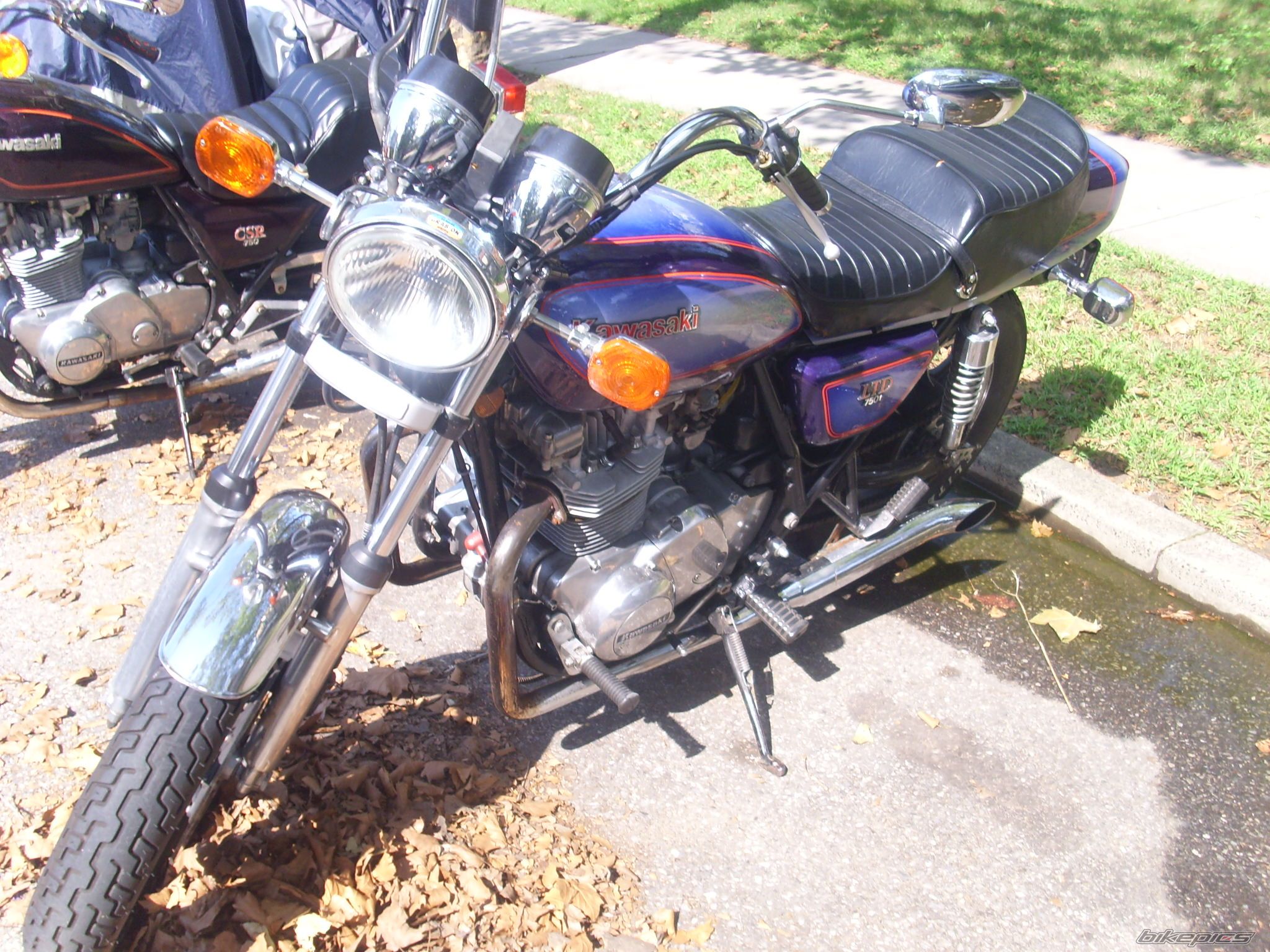 Photo 1428166