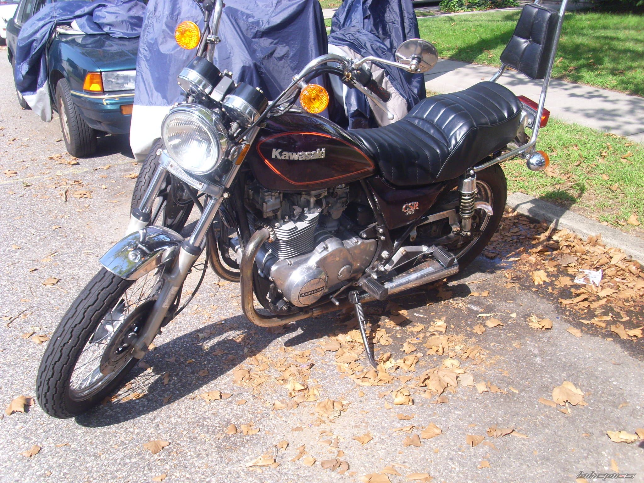 Photo 1428202